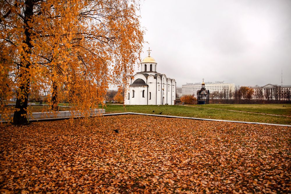 Фотография автора Кристина Догодька