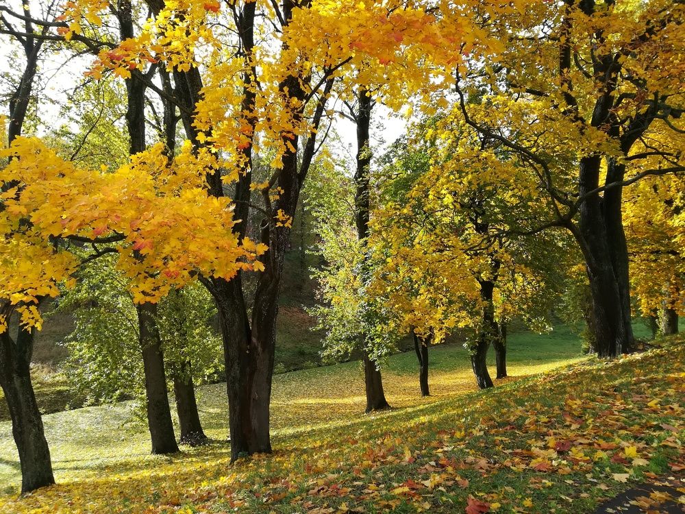 Photograph by Елизавета