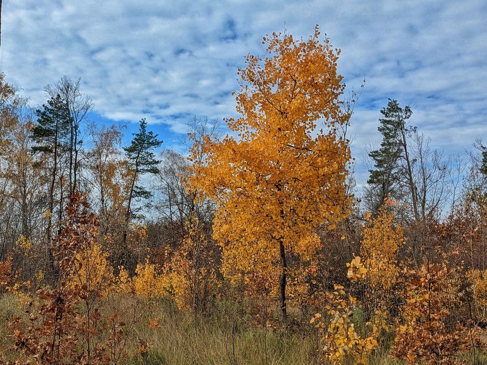 Photograph by Lavlad L