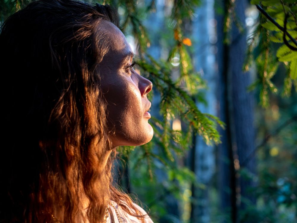 В лесу | In the forest