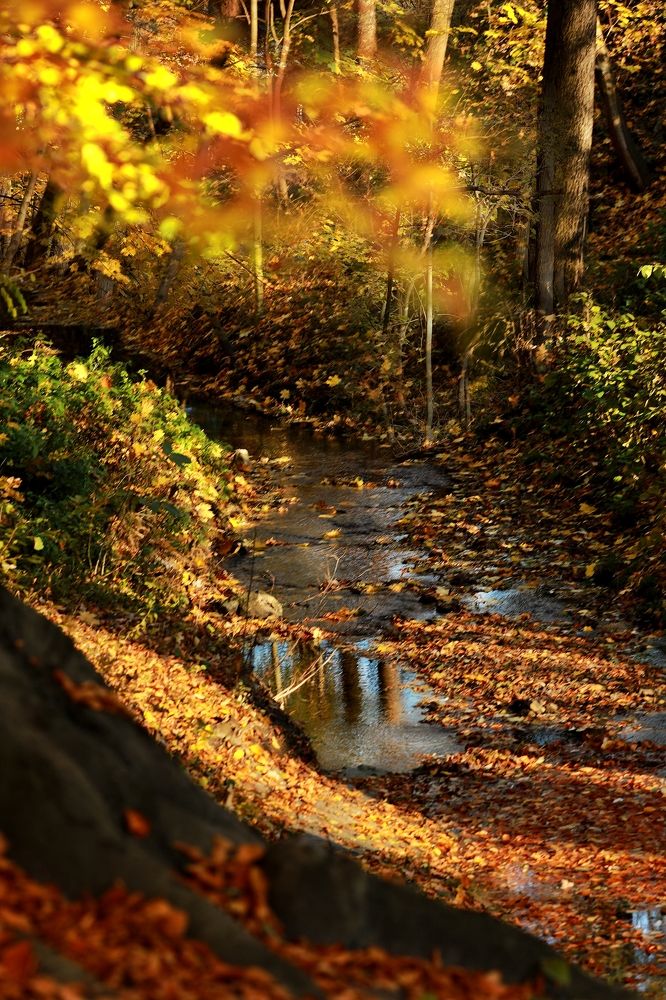 Photograph by Karolina Kozłowska