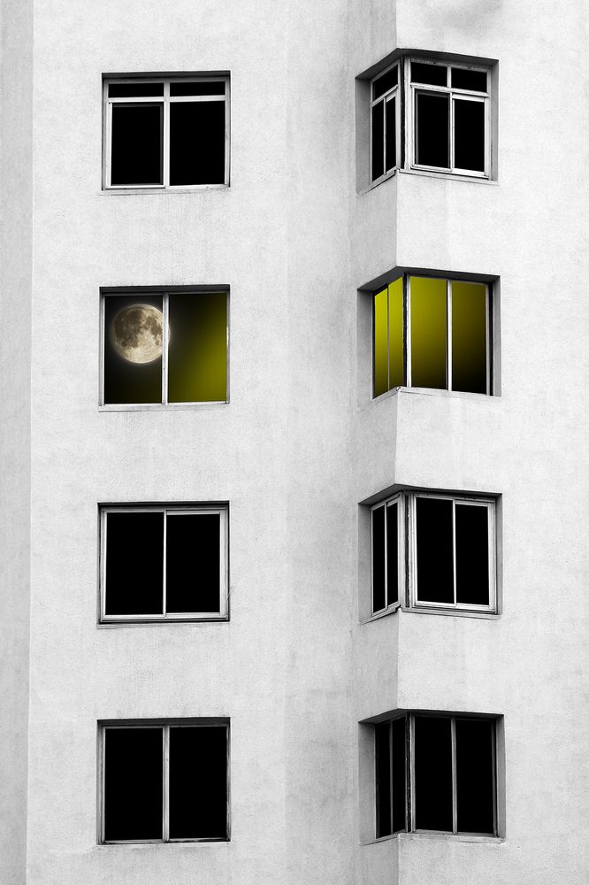 Photograph by 