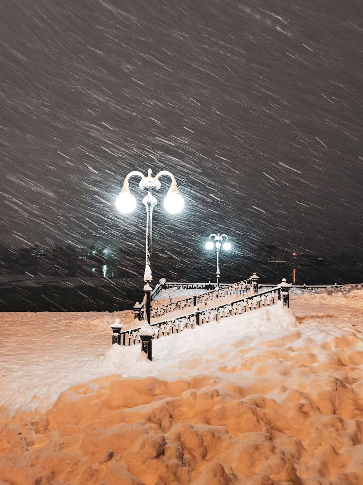 Photo #8290504