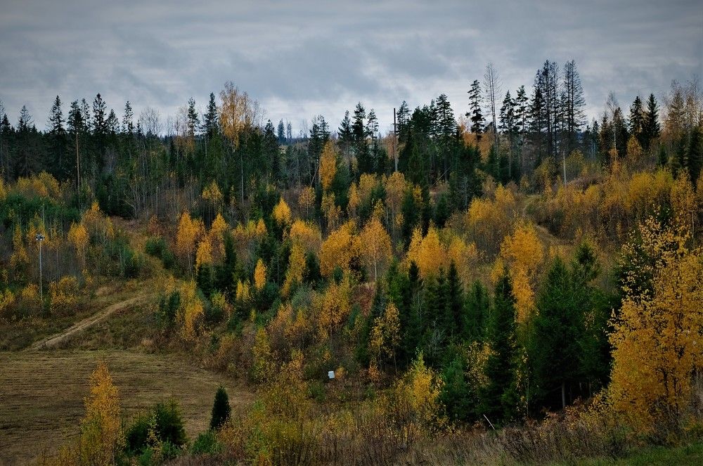 Photograph by Марина Хохрякова