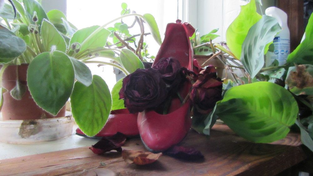 Photograph by Natalja Rogalova