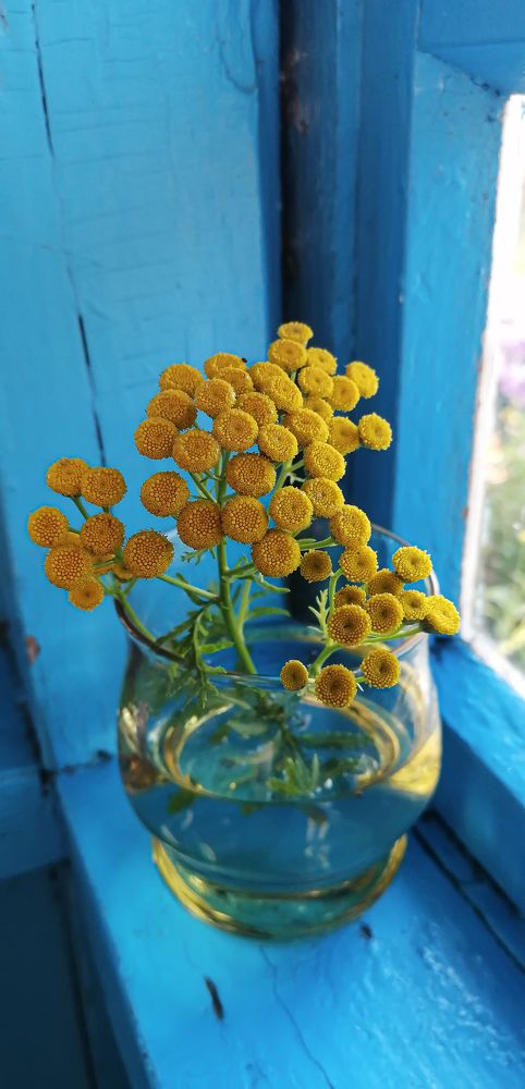 Photograph by Наталья Клячина