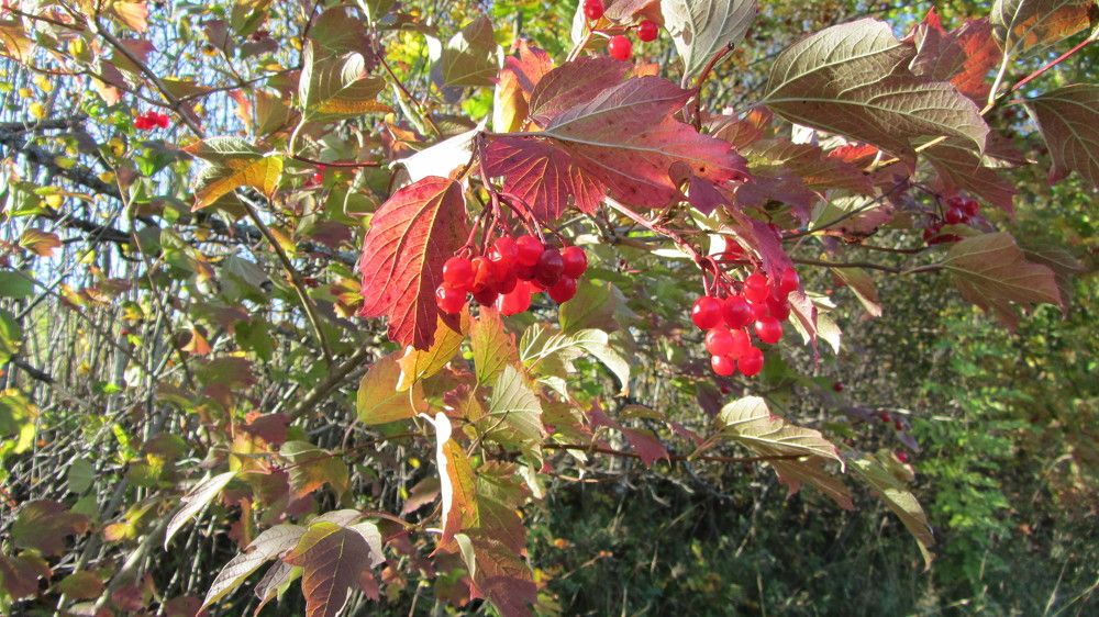 Photograph by Natalja Rogalova