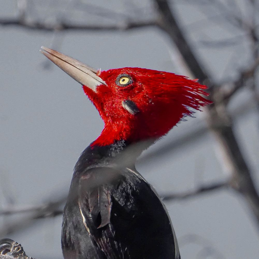 Photograph by Karina Elena Bergagna