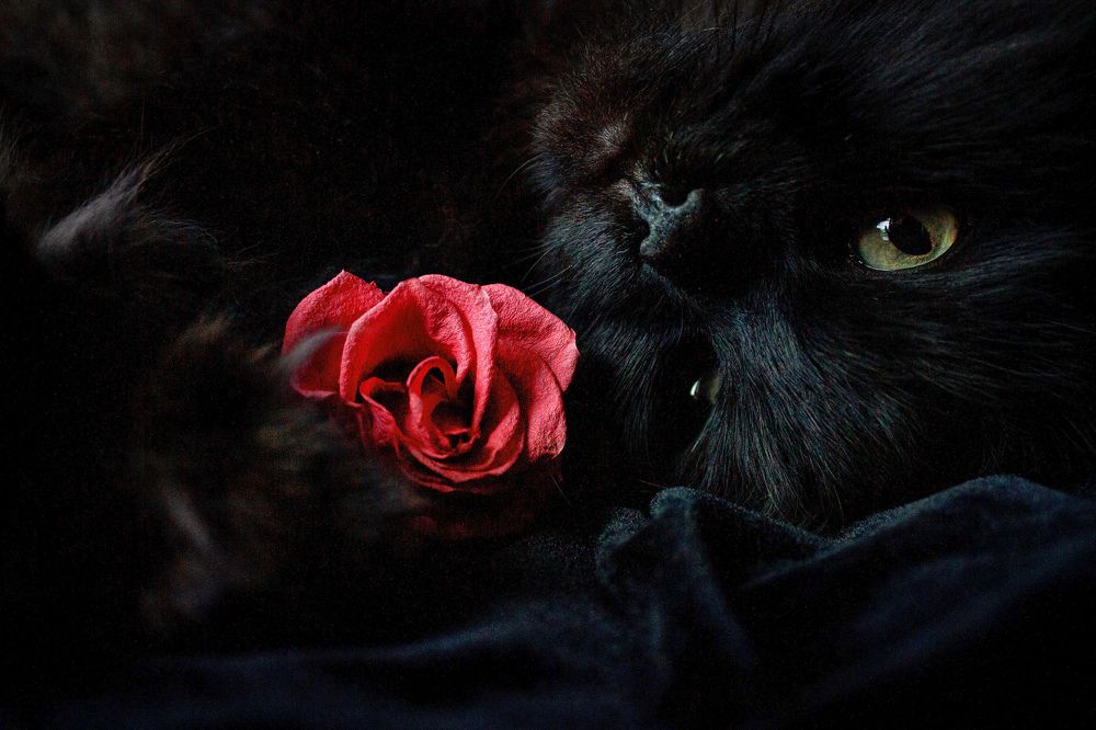 Photograph by Наталья Касимова