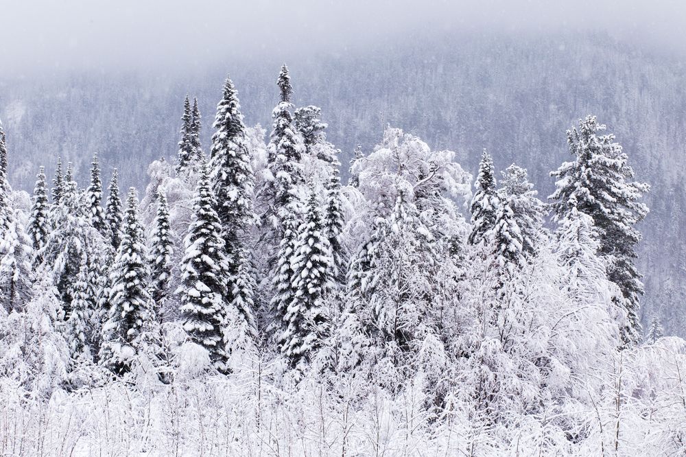 Фотография автора Оркина Ксения