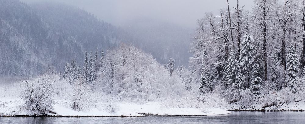 Фотография автора Оркина Ксения