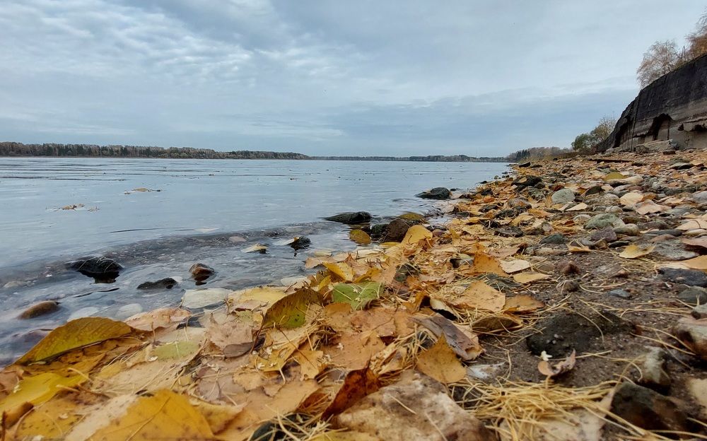 Фотография автора Виталий Петров
