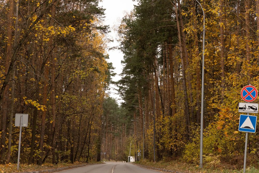 Photograph by Ольга Гирусова