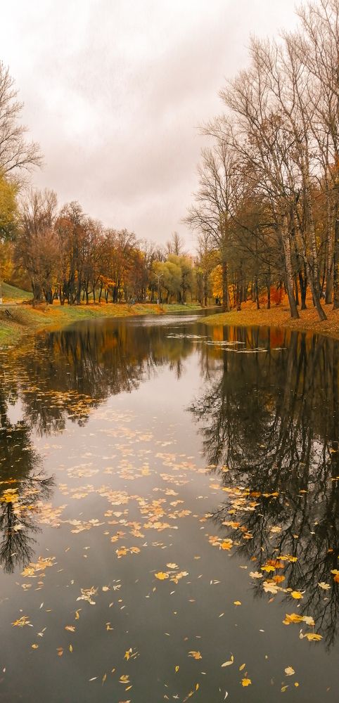 Photograph by Наталья Клячина