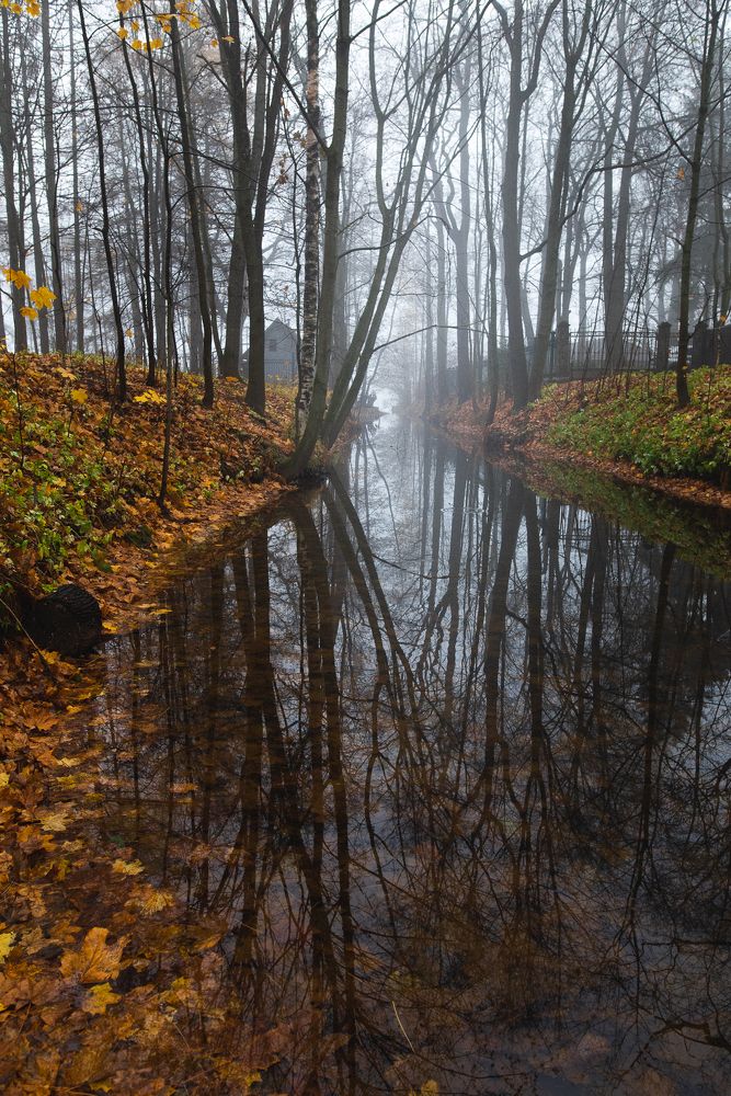 Photograph by Сергеева Марина