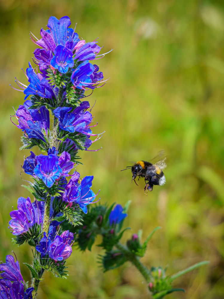 Photograph by Valdis Serzhans
