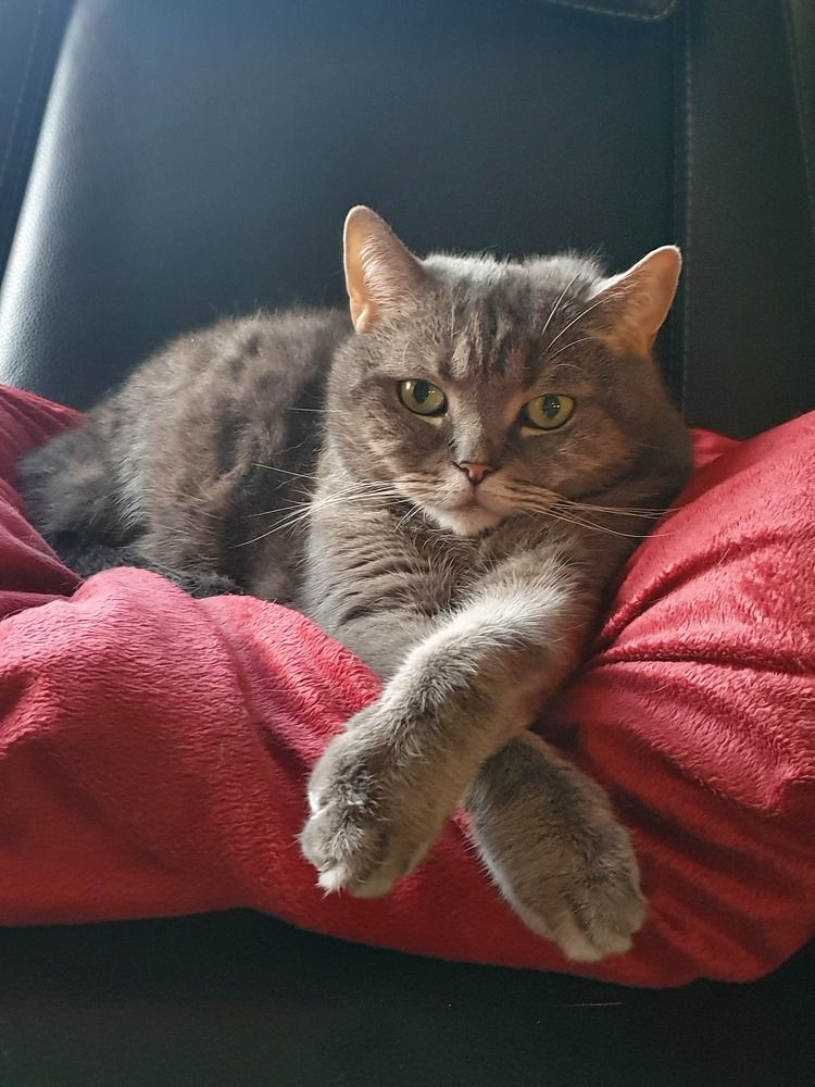 Photograph by MARGARITA KERRE