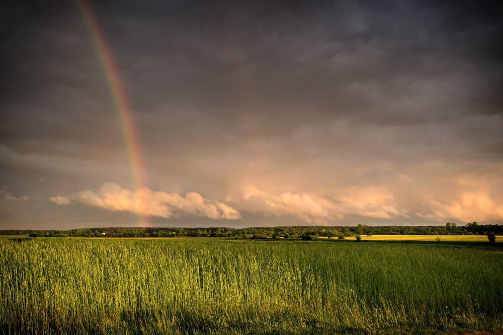 Фотография автора Юлия Кранина