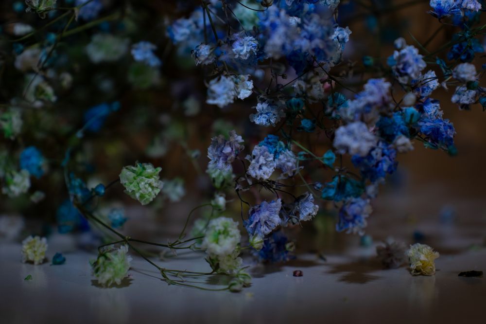 Photograph by Наталья Мотрий