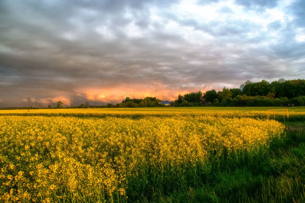 Фотография автора Юлия Кранина