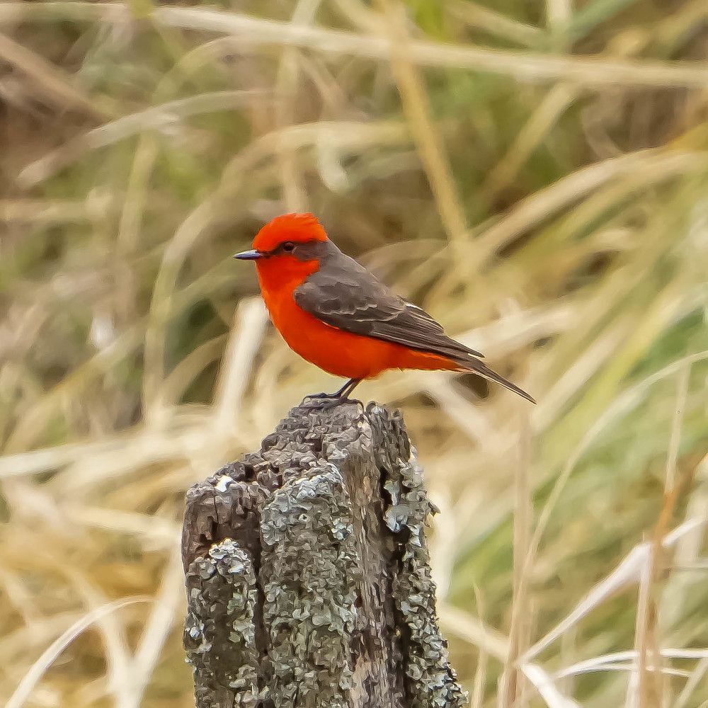 Photograph by Karina Elena Bergagna