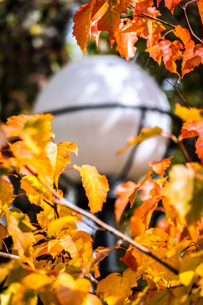 Фотография автора Виталий Гавронский