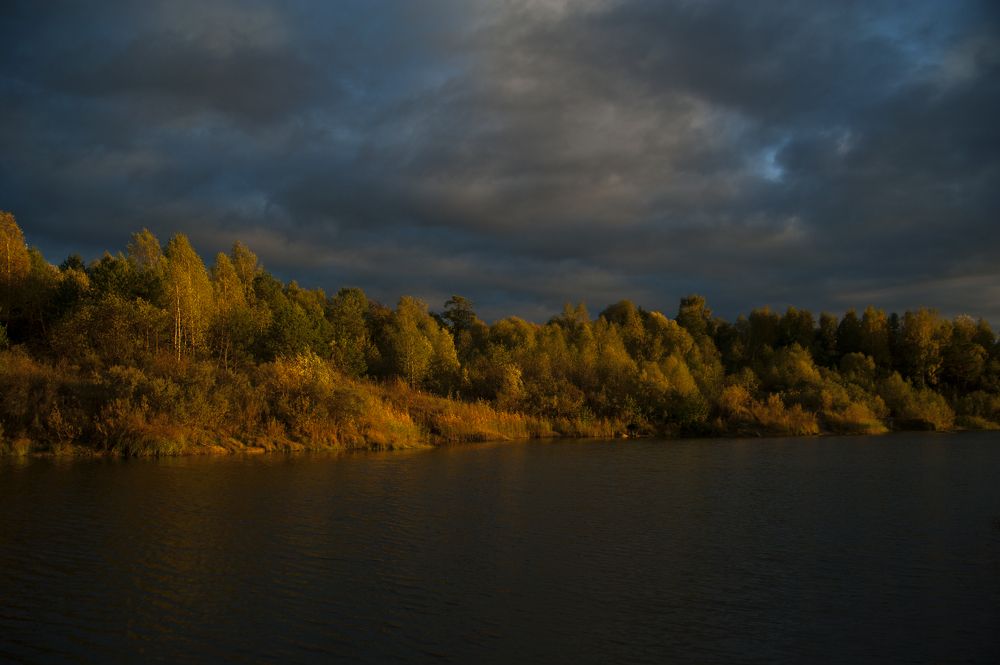 Photograph by Svetlana