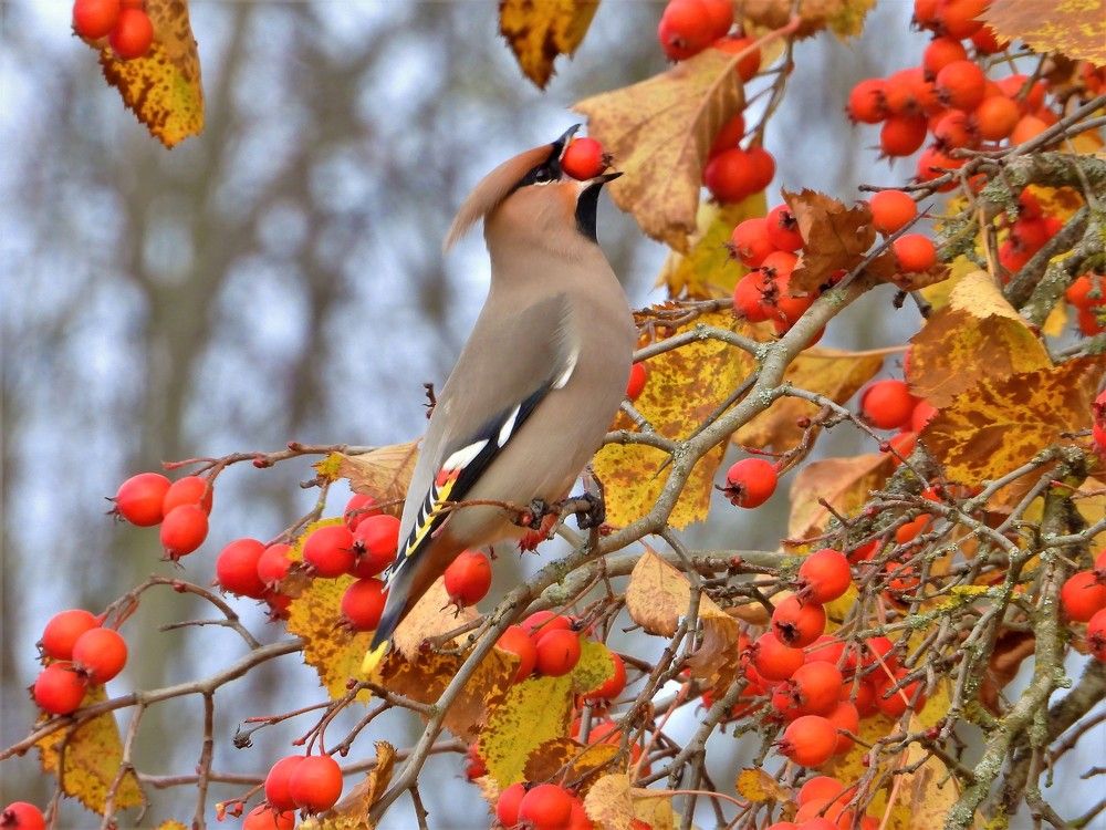 Photograph by Ольга Митрофанова