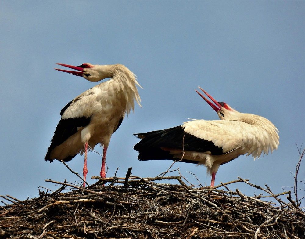 Photograph by Ольга Митрофанова