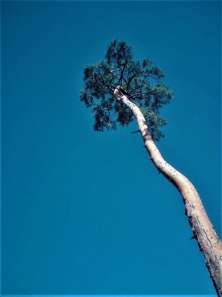 Photograph by Наталья Галай