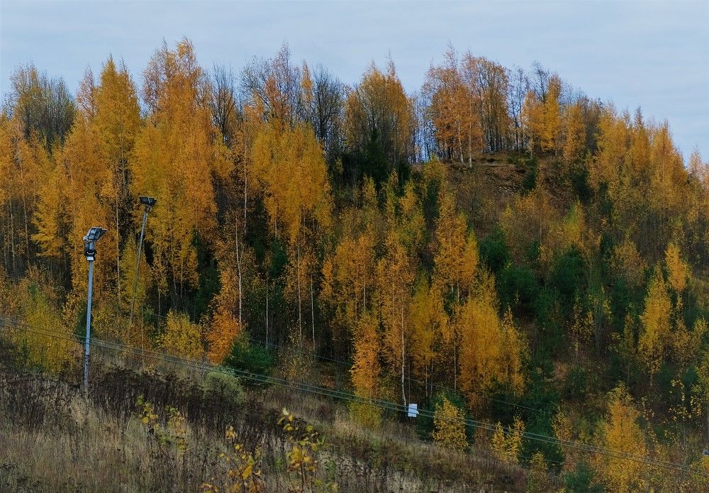 Photograph by Марина Хохрякова