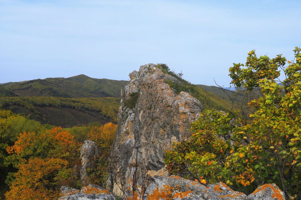 Фотография автора Александр Свистоплясов