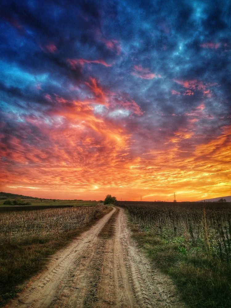 Photograph by Adrian Eperjessy