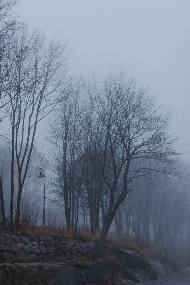 Photograph by Евгения Ерофеева