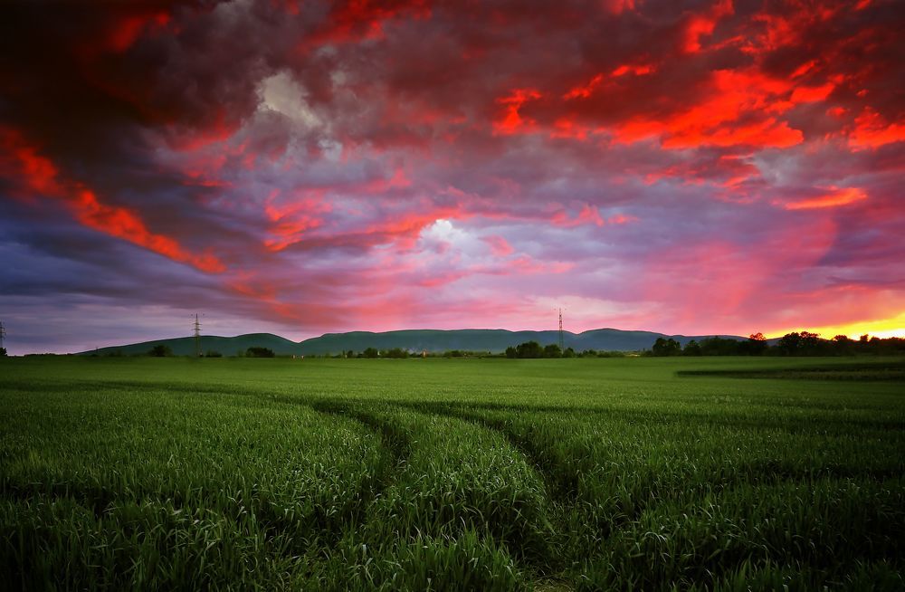 Photograph by Adrian Eperjessy