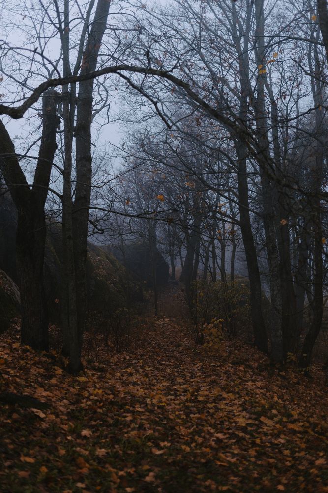 Photograph by Евгения Ерофеева