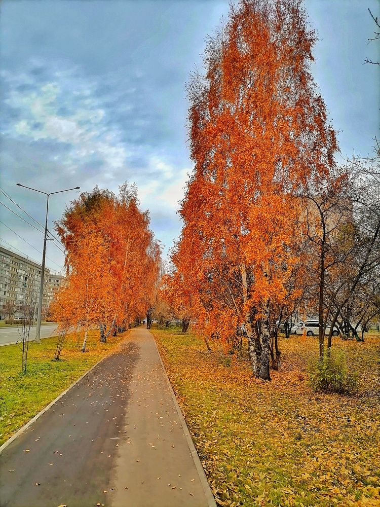 Photograph by Варвара Арефьева