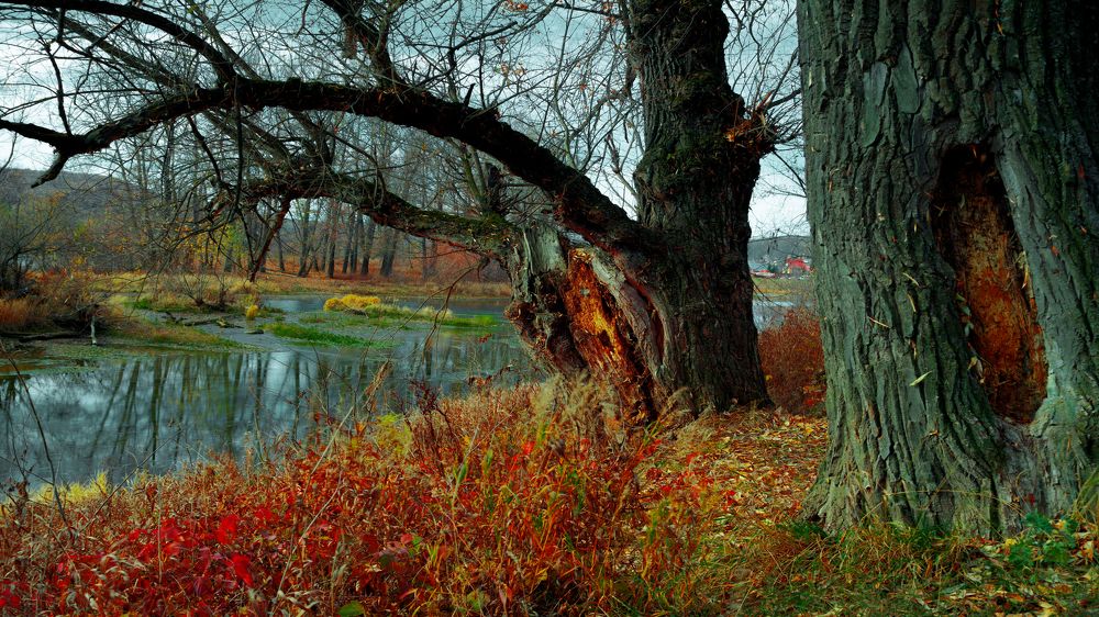 Photograph by Elena Dementova