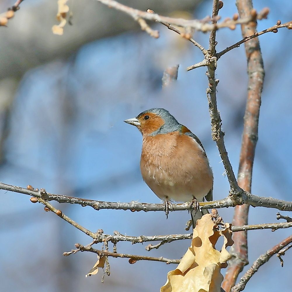Photograph by Александр Катунцев
