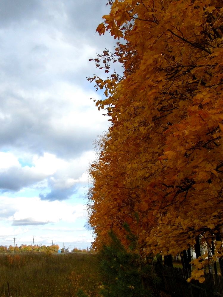 Photograph by Михаил Семёнов