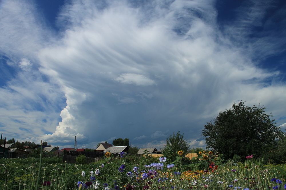 Photograph by Леунина Людмила