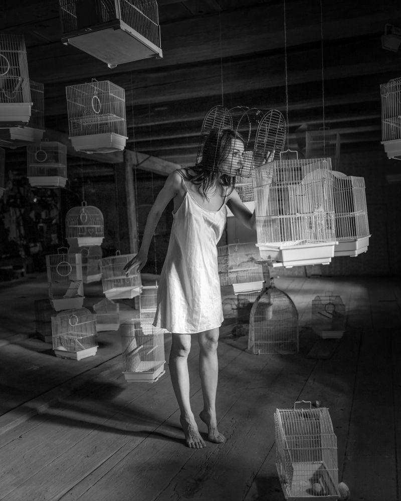 All the birds have flown away