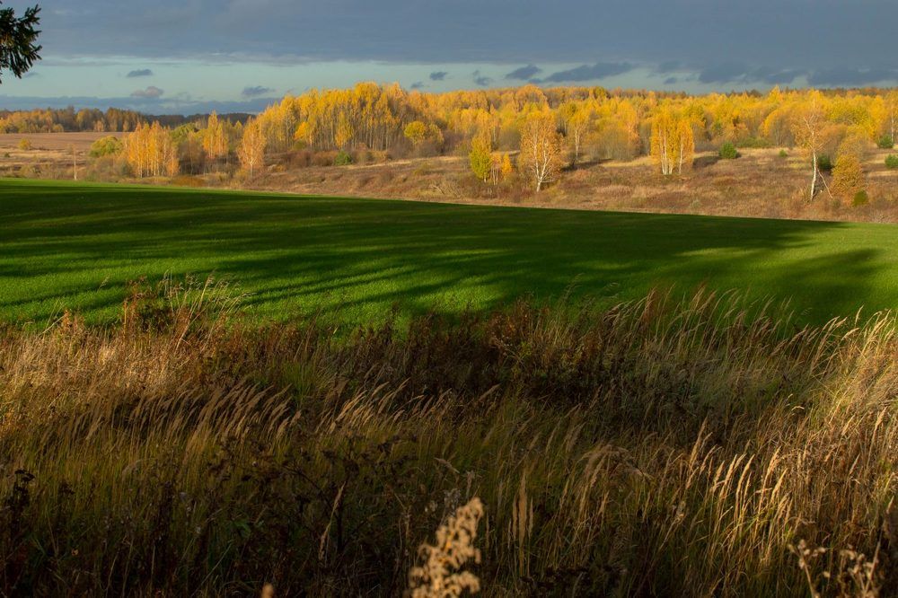 Photograph by Владимир Федин