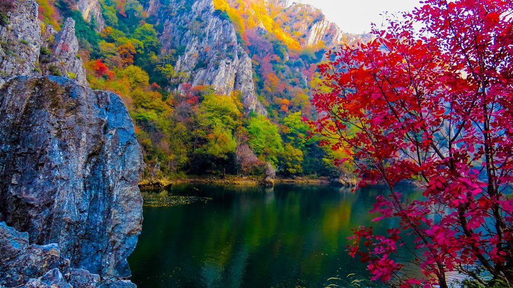 Photograph by Arif Alakbar