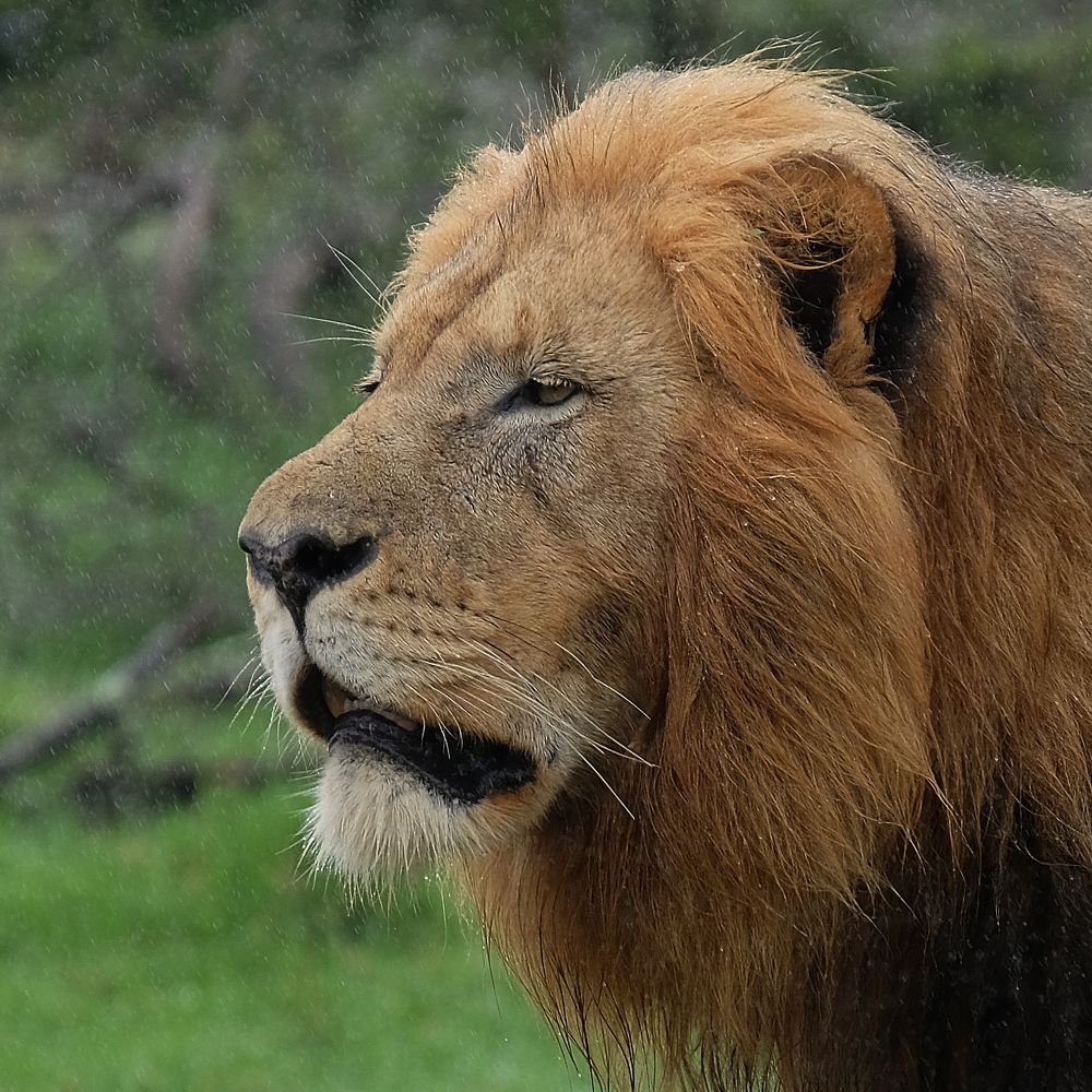 Photograph by Karchemski Arkadi