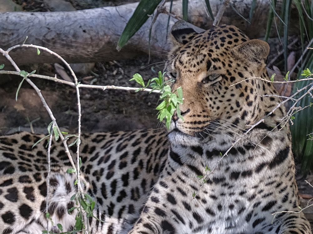 Photograph by Karchemski Arkadi