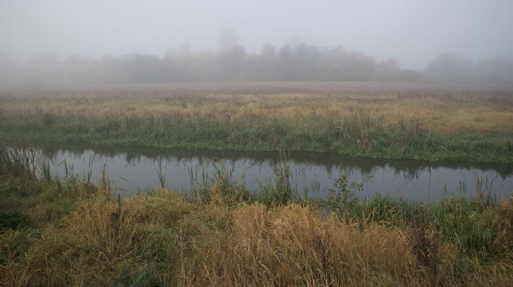 Photograph by Лилия