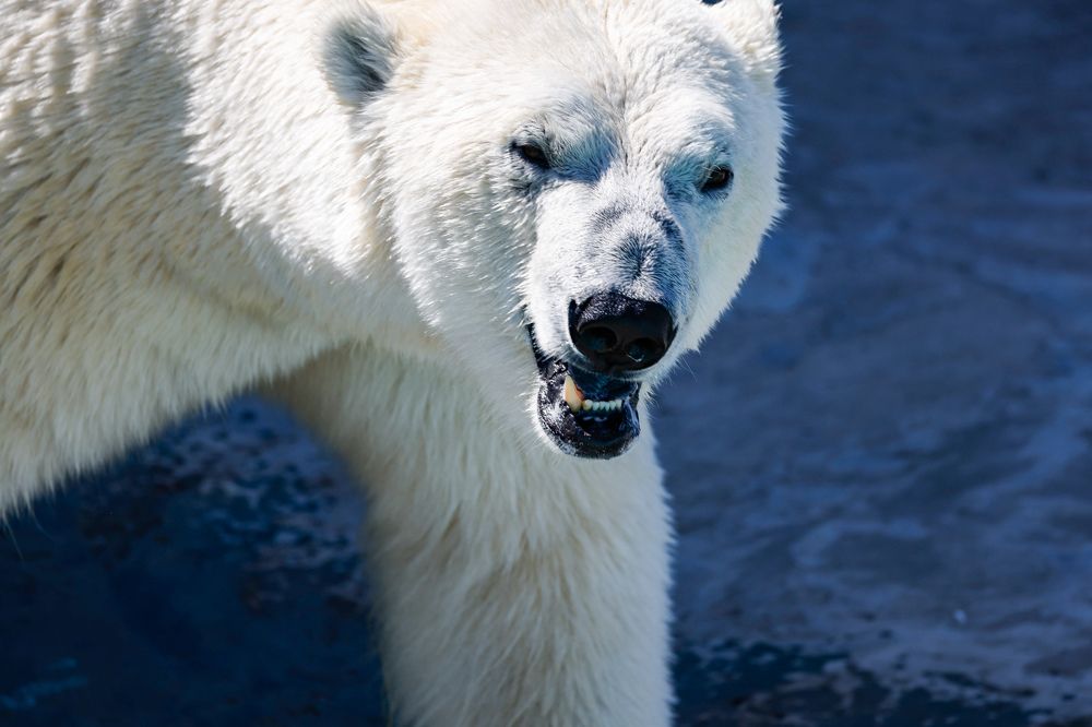 Photograph by Валентин Колинько