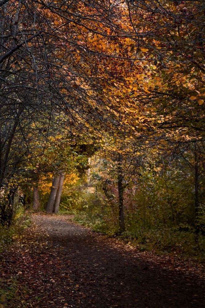 Photograph by Нигина Назарова