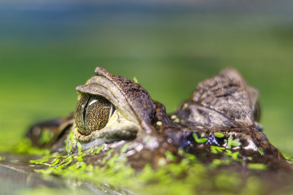 Photograph by Валентин Колинько